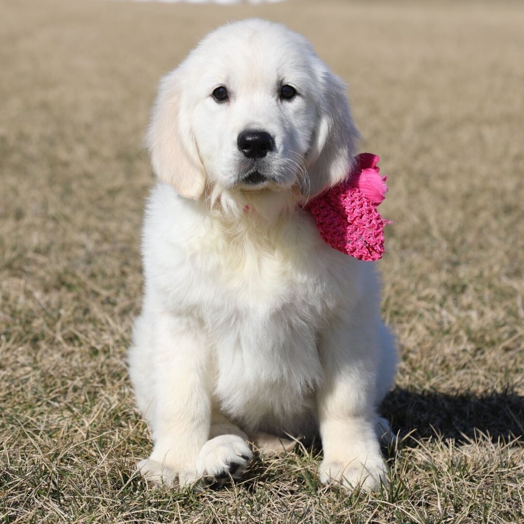 Delilah