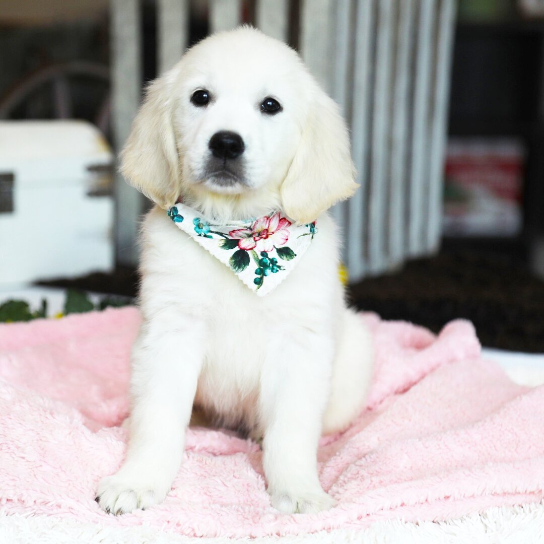MARLEY
